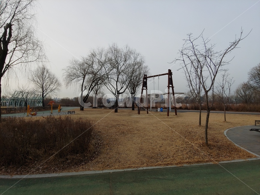 한강,공원,난지공원,그네,겨울,나목,자전거길,산책길