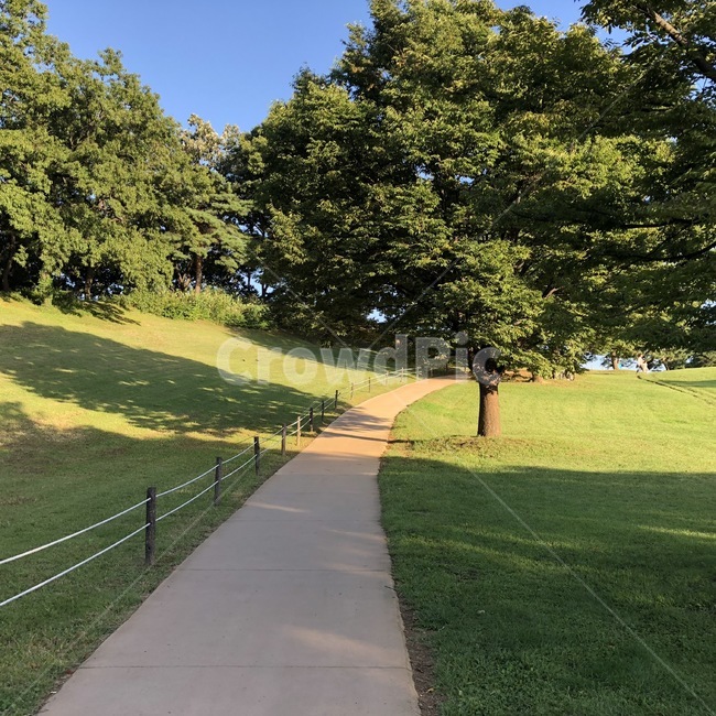 올림픽공원,공원,올림픽,서울,하늘,sky,park,자연,풍경,nature,landscape,grass,잔디,plant,식물,tree,나무,path,통로