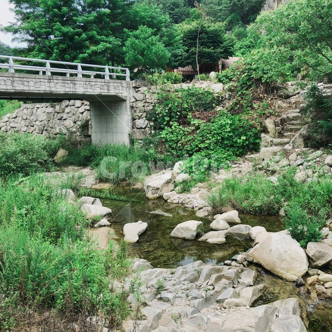 계곡,자연,돌길,물길,청량함,자연,풍경,nature,landscape,outdoors,옥외,water,물