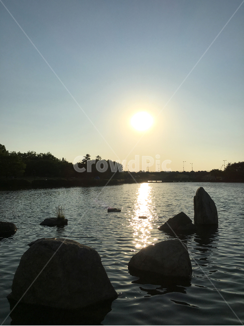 일산호수공원,호수,풍경,lake,해질녘,park,자연,풍경,nature,landscape,outdoors,옥외,water,물