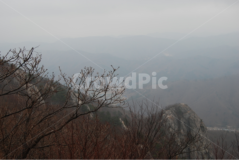 안개,fog,등산로,hikingtrail,봄,자연,풍경,nature,landscape,outdoors,옥외