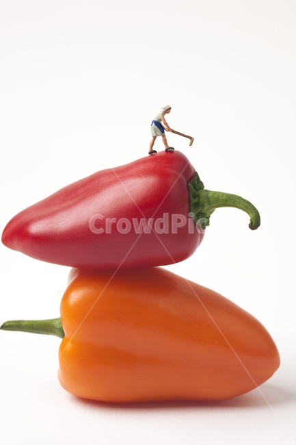 음식,오브젝트,파프리카,야채,채소,녹색,그린,화이트,흰색,푸드,다이어트,요리,비비드,신선한,컬러,영양소,건강,먹다,피망,여자,미니어처,주황색,농사,농부,귀농,귀촌,비타민,비타민씨,쟁기,농기구,일구다,가꾸다,도시농부,주황,오렌지색,빨간색,레드,빨강,클로즈업,누끼,수확,음식,식재료,요리,food,cook,meal,dishes,food reserves,채소,야채,vegetables,연출,컨셉,콘셉,direction,concept,누끼,remove background