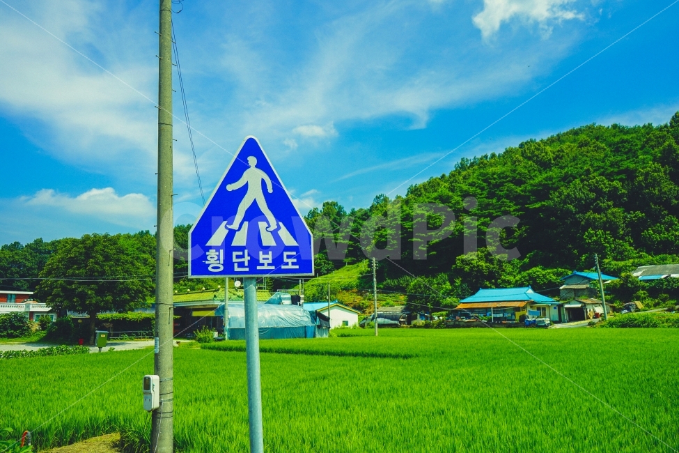 교통,감성사진,풍경사진,시골,길,하늘,구름,산,식물,시골,마을,풍경,landscape,country,rural,town