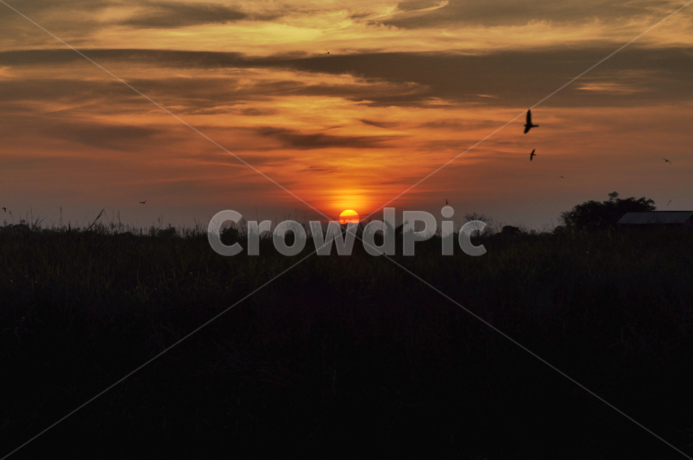 kotakinabalu,klias,malaysia,코타키나발루,클리아스,말레이시아,river,sunset,노을,nature,자연,landscape,풍경,새,bird,자연,풍경,nature,landscape,세계자연풍경,해외자연풍경,외국자연풍경,world nature landscape,outdoors,옥외,red sky,붉은 하늘,sky,하늘,dawn,새벽,일몰,dusk,황혼