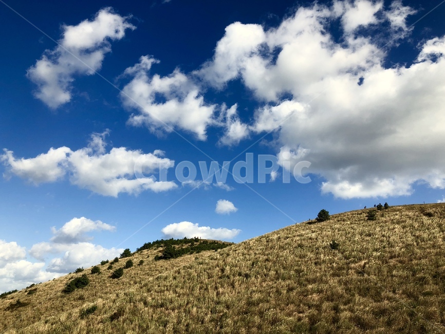 nature,자연,오름,제주,sky,하늘,cloud,구름,자연,풍경,nature,landscape,outdoors,옥외,field,들,grassland,목초지