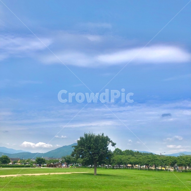 나무,여름,풍경,초록,tree,경주