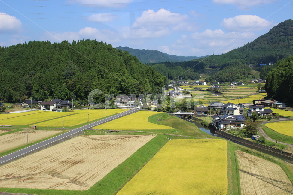 가을,일본,japan,시골,countryside,fall,autumn,추수,벼,농사,힐링,초록,자연,nature,벼농사,시골,마을,풍경,landscape,country,rural,town,해외,외국,세계,foreign,oversea,world