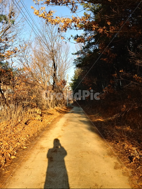 길,도로,산책로,흙길,옥외,자연,path,road,통로