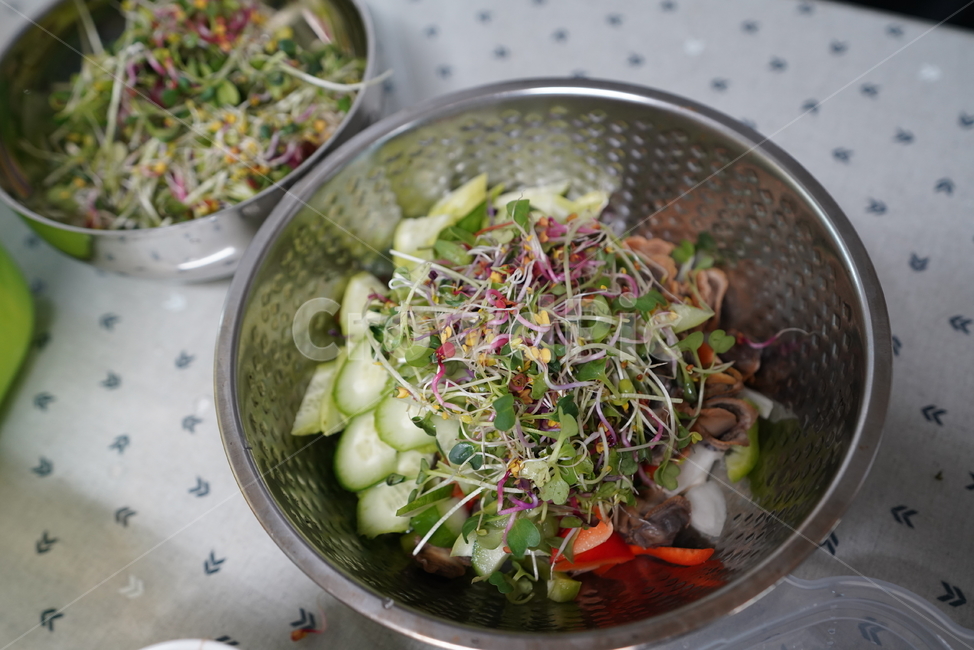 야채,채소,건강식,음식,먹거리,새싹,양푼,vegetable,food,식물,음식,식재료,요리,food,cook,meal,dishes,food reserves