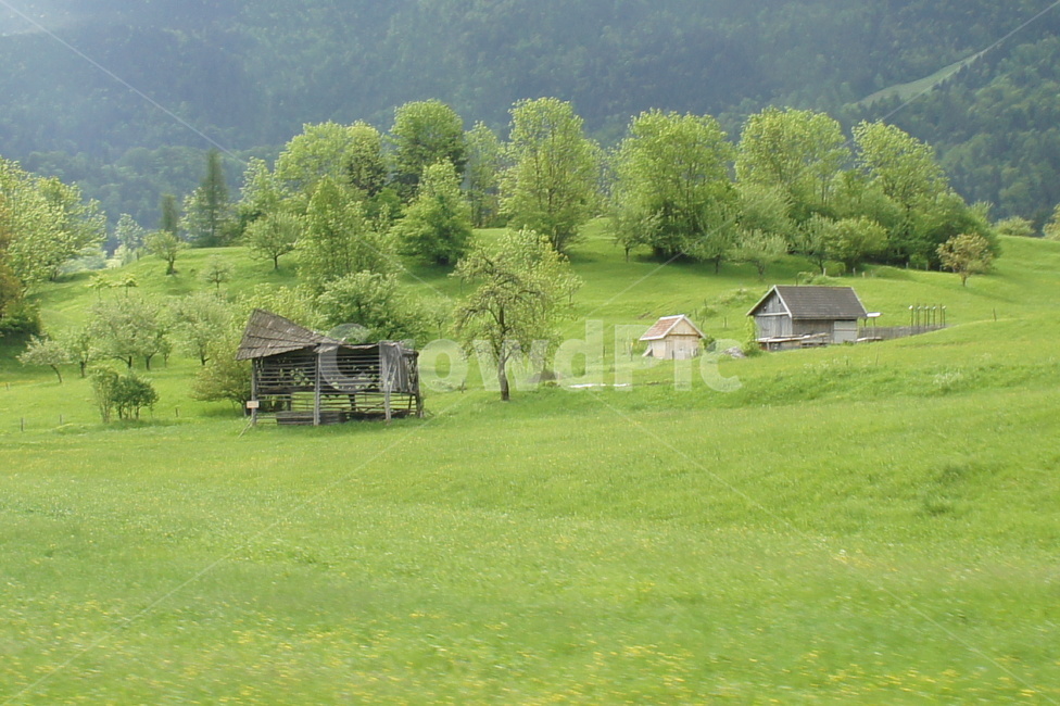 들,자연,초록,농가,풀,연두,풍경,경치,전원,자연,풍경,nature,landscape,outdoors,옥외,field