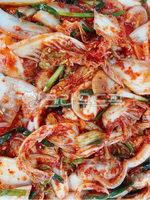 배추김치,겉절이,겉절이김치,김치,배추,양념,고추가루,고춧가루,음식,식재료,요리,야채,채소,food