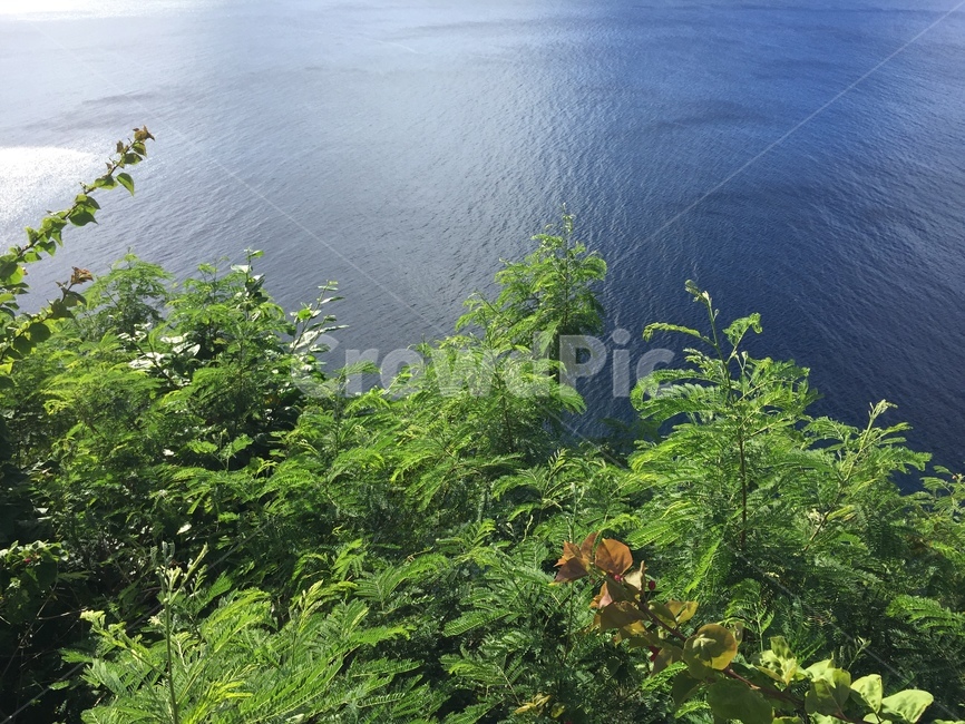 괌,솔레다드요새,포트솔레다드,nature,자연,outdoors,water,물,sea,바다,부시,해안선,ocean,대양,shoreline,guam,fortsoledad