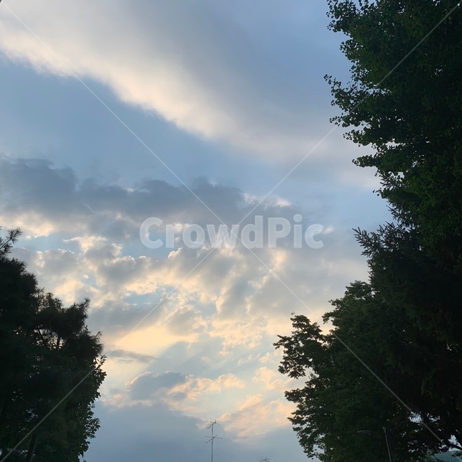 감성,하늘,구름,cloud,나무