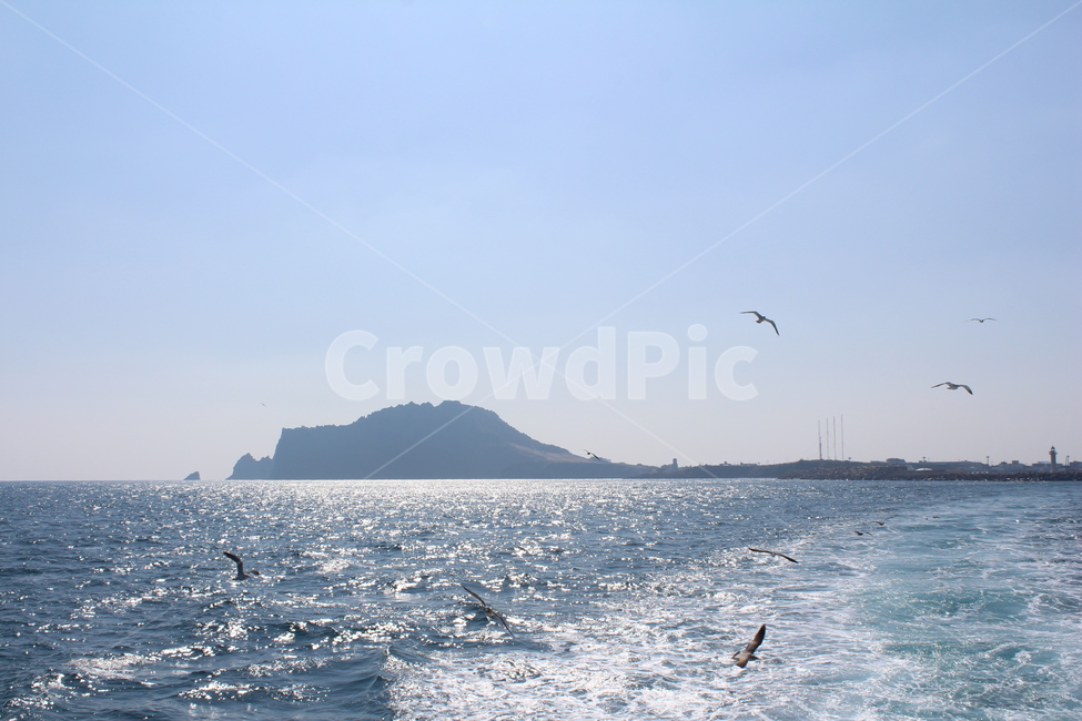 자연,sea,바다,새,해안선,성산일출봉