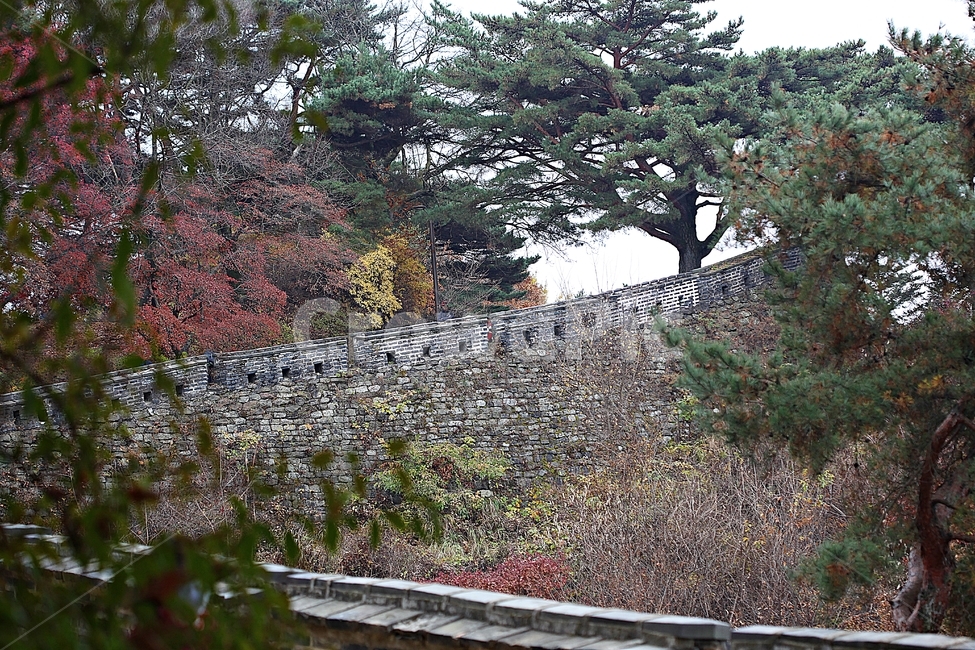 남한산성,성,성곽,단풍,낙엽,길,둘레길,숲,숲길,담,돌담,가을,자연,풍경,벽,울긋불긋,산성,식물,가을,계절,fall,autumn,season