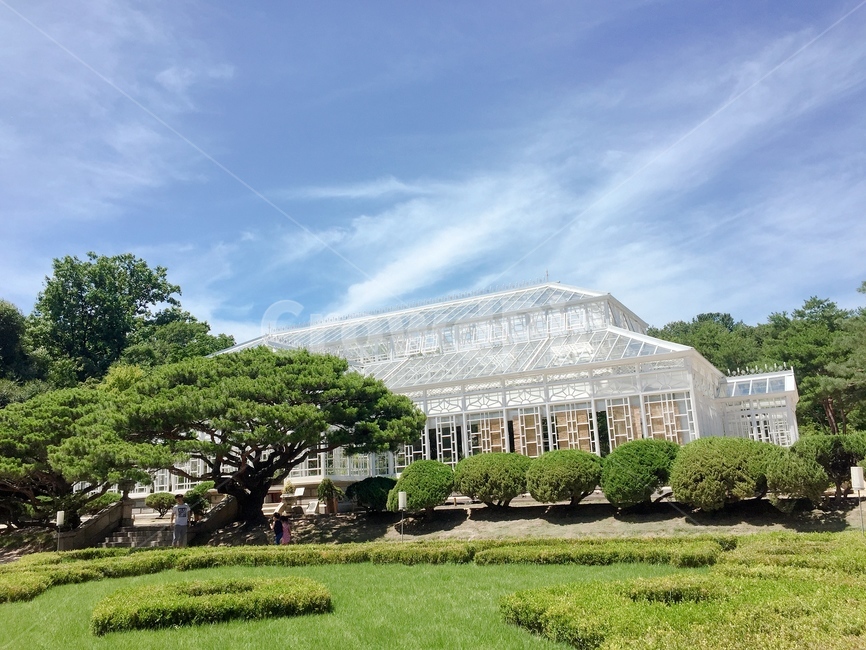 온실,흰색,창경궁,하늘,식물원,자연