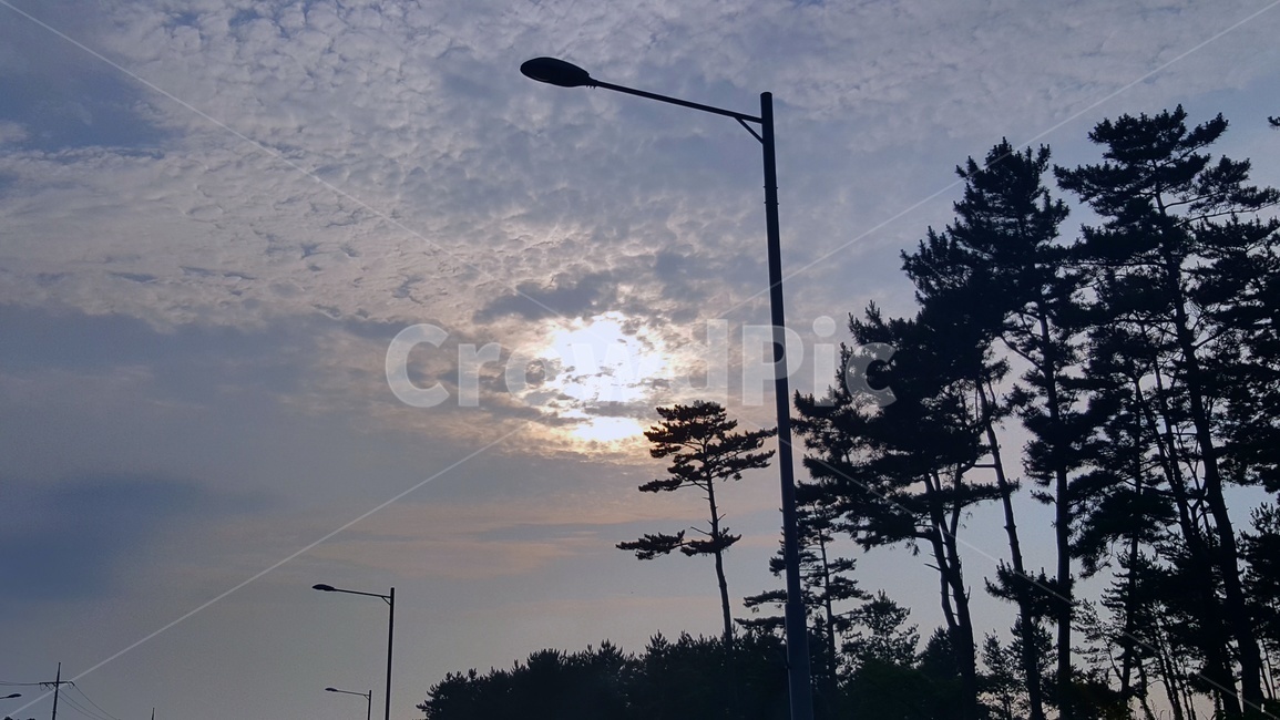 가로등,석양,태양,하늘,가로수,노을,자연,풍경,nature,landscape,lamp post,램프 포스트