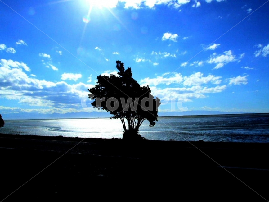 나무,그림자,실루엣,바다,태양,하늘,외로운,평온한,고요한,해,구름,파도,tree,shadow,silhouette,peaceful,calm,tranquil,분위기,감성사진,atmosphere,lonely,solitary,sky,cloud,sea,ocean,sun,sunny,ambience,풍경,배경,배경사진,풍경사진,평화로운,차분한,차분함,평화로움,scene,still,background,자연,풍경,nature,landscape,식물,plants,나무,trees,wood,실루엣,그림자,silhouette,shadow,light,빛,flare,플레어,sunlight,햇빛,plant
