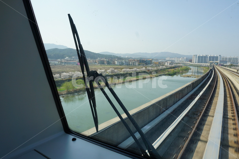 경전철,벚꽃,꽃놀이,기차,소풍,도시,풍경,city,landscape,한국도시풍경,한국도시경관,korea cityscape,교통,교통수단,traffic,transportation,banister,난간,handrail,nature,자연,outdoors,옥외