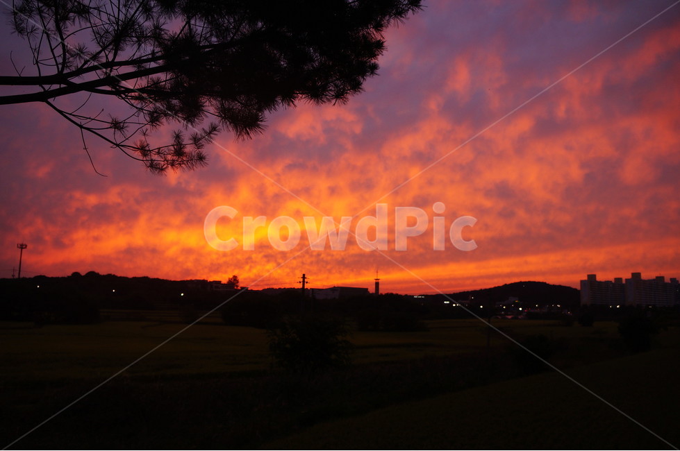 자연,nature,석양,하늘,sky,빨간색,붉은하늘,붉은노을,들판,outdoor,들,자연,풍경,nature,landscape,outdoors,옥외,sunset,일몰,dusk,황혼,dawn,새벽,red sky,붉은 하늘