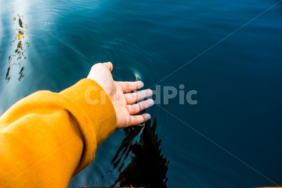 손,hand,물에담긴손,물,강물,맑은물,사람,인물,인간,human,person,신체일부,몸,body,감성,sensible,feeling