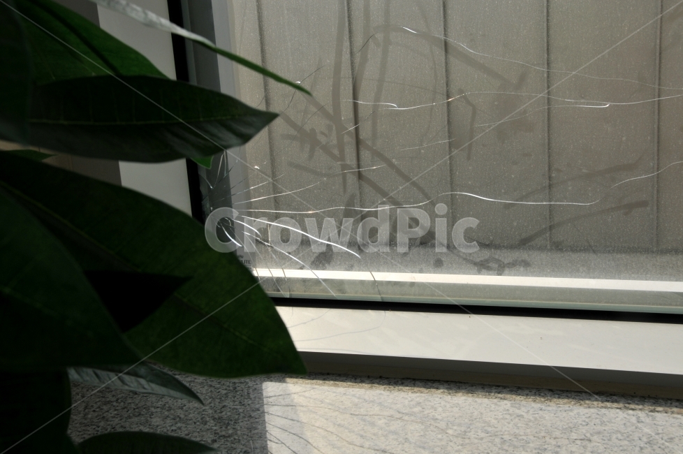 균열,창문,창문깨진,깨진창,감성,느낌,바라보는,시선,무너짐,건물,창,유리,불안,초조,식물,자연,plants,nature