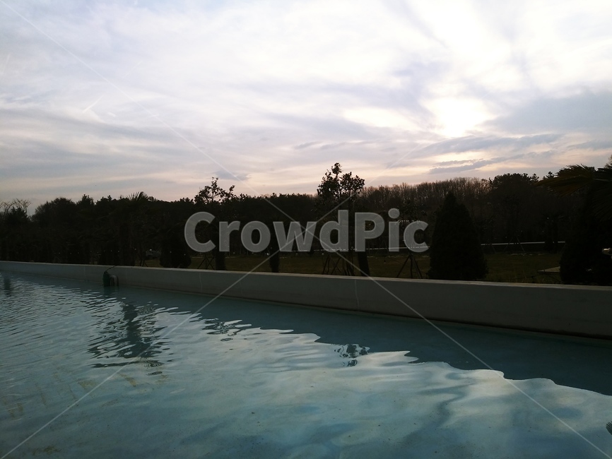 물,하늘,숲,자연,수영장,pool,water