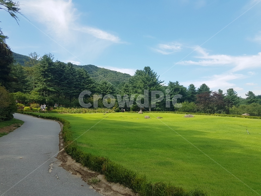 아침고요수목원,자연배경,잔디,공원,들판,둘레길,배경,plant,grass,식물,산,하늘,수목원,풍경,경치,park