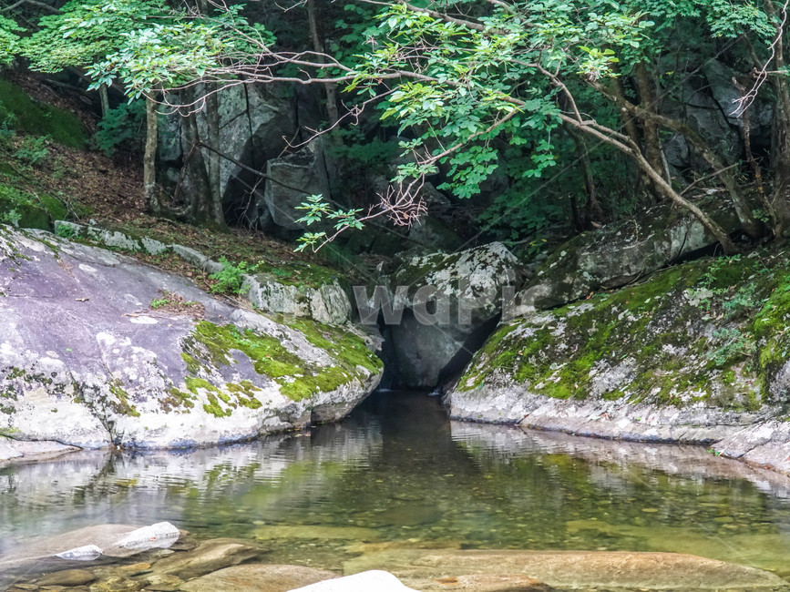 산,계곡,바위,풍경,여름,호수,돌,나무,풀