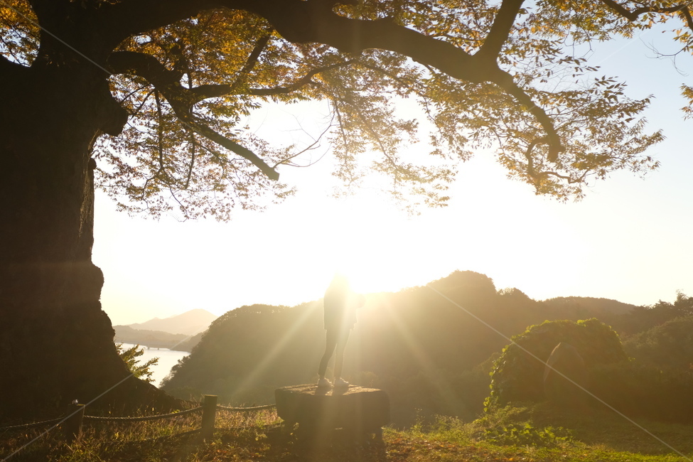일출,단풍,빛내림,빛,여자,뒷모습,산,나무,자연,풍경,nature,landscape,휴식,힐링,rest,relaxation,healing,light,flare,플레어,sunlight,햇빛
