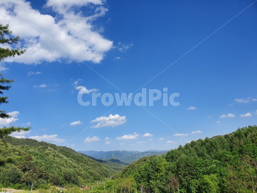 산,하늘,나무,풍경,자연,sky,mountain,landscape,scenery,scene,view