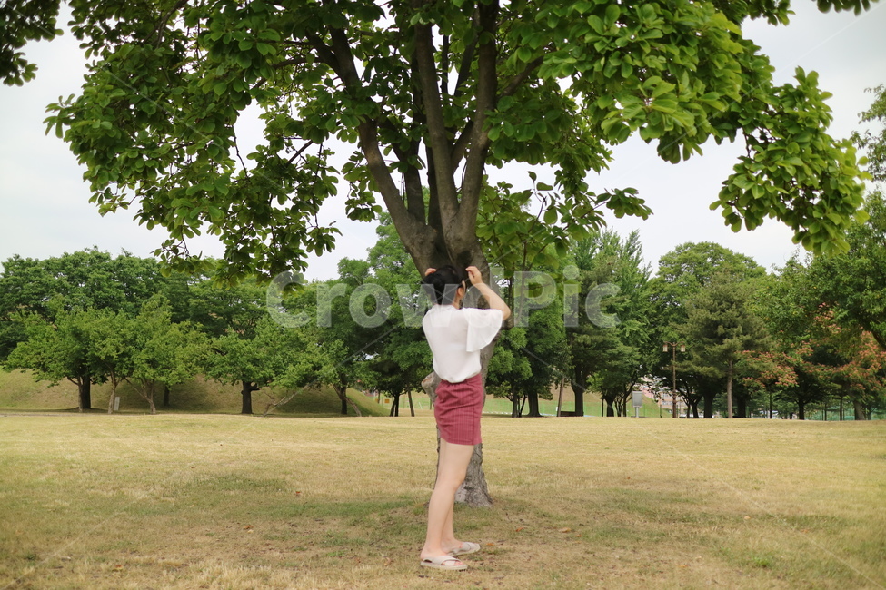 대릉원,여자혼자,실루엣,뒷모습,경주,경주풍경,plant,식물,grass,잔디,human,인간,person,사람,tree,나무
