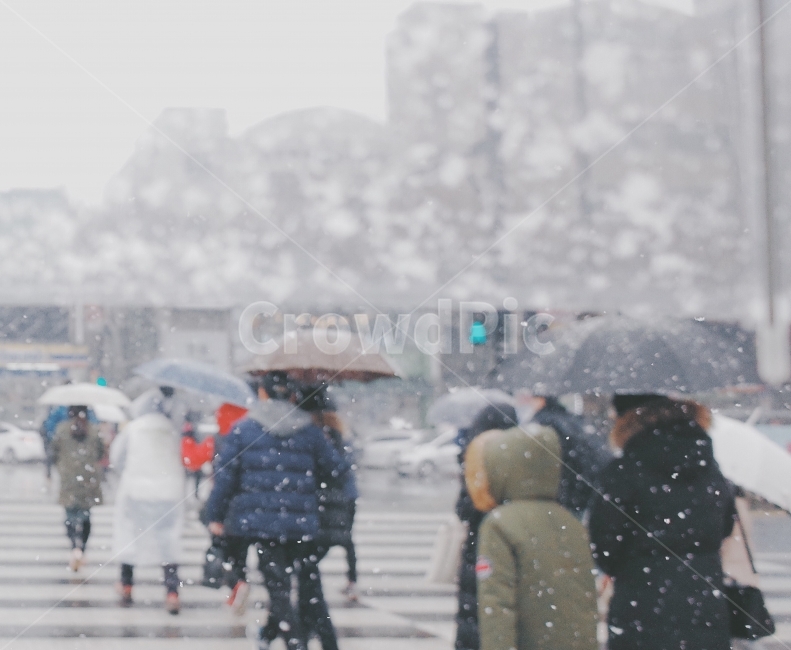 눈,눈오는날,도시,겨울,도로,횡단보도,사람들,우산,winter,snow,겨울,계절,winter,season,사람들,대중,군중,other people,crowd,교통,교통수단,traffic,transportation,blizzard,눈보라,storm,폭풍,outdoors,옥외,nature,자연