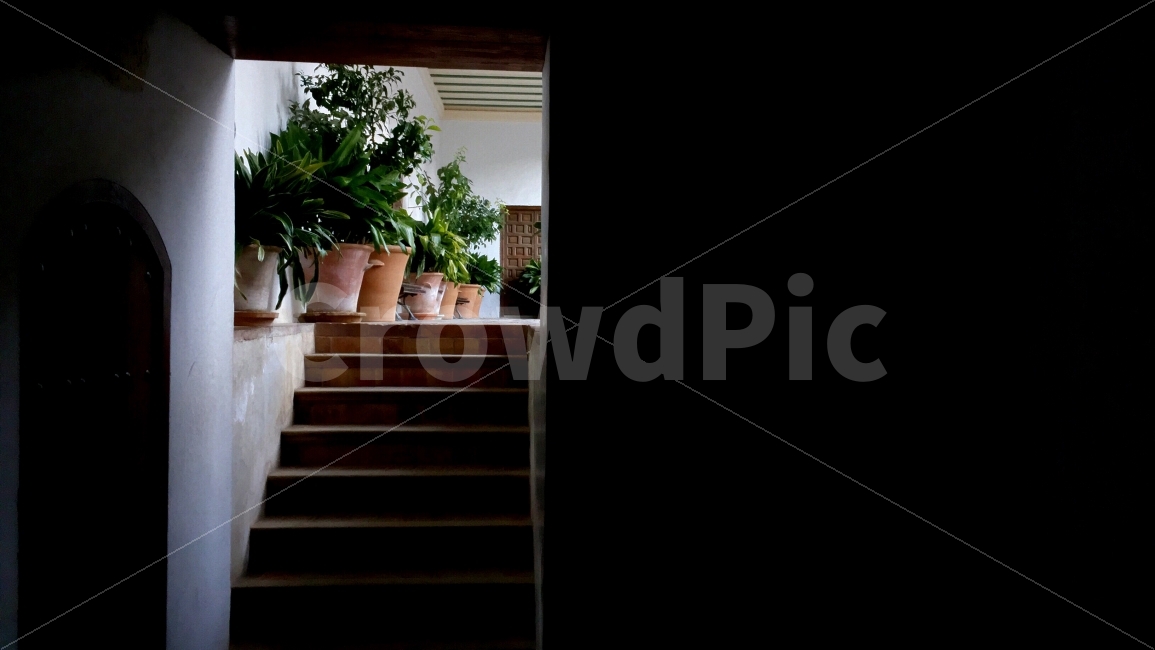 스페인,실내,건물,풍경,화분,인테리어,실내디자인,interior design