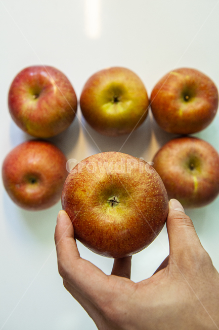 plant,fruit,식품,person,인간,human,사과,apple,사람,손,과일,열매,fruit