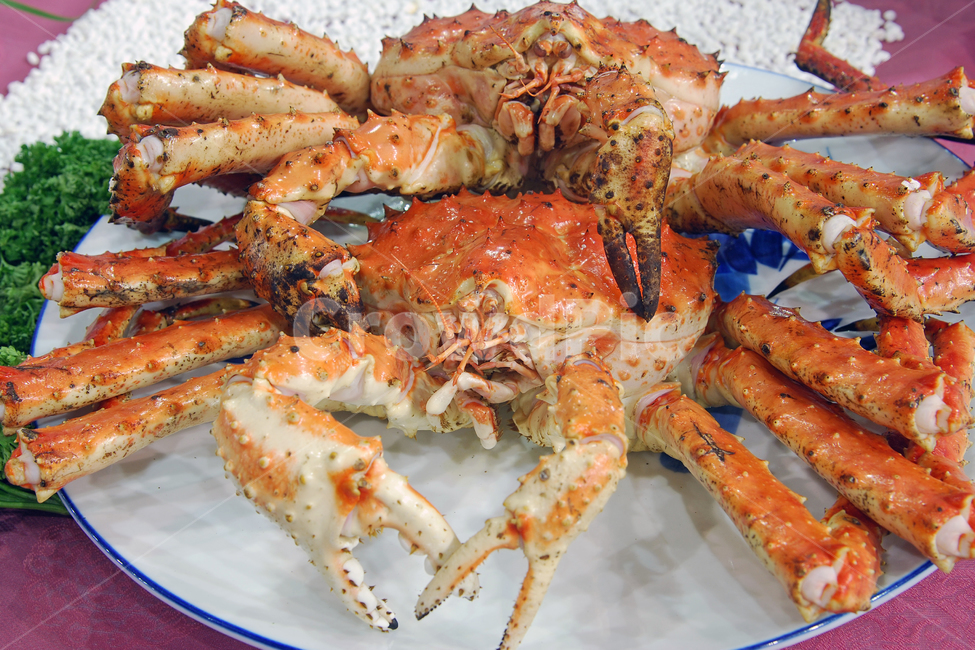 킹크랩,크랩,게,찜,음식,요리,해산물,해물,씨푸드,집게,갑각류,음식,식재료,요리,food,cook,meal,dishes,food reserves,수산물,해산물,fishery products,seafood