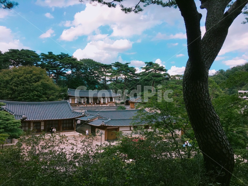 석파정,한옥,흥선대원군별장,서울,조선시대별장,자연,풍경,nature,landscape,한국전통,한국문화,korean traditional,korean culture,건축물,건물외관,exterior,building,structure,architecture,construction,outdoors,옥외