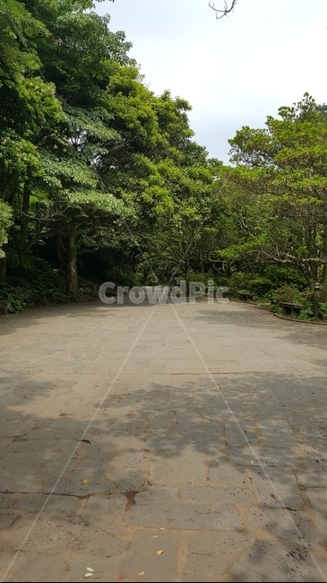 산책길,나무,돌길,나무그늘,의자