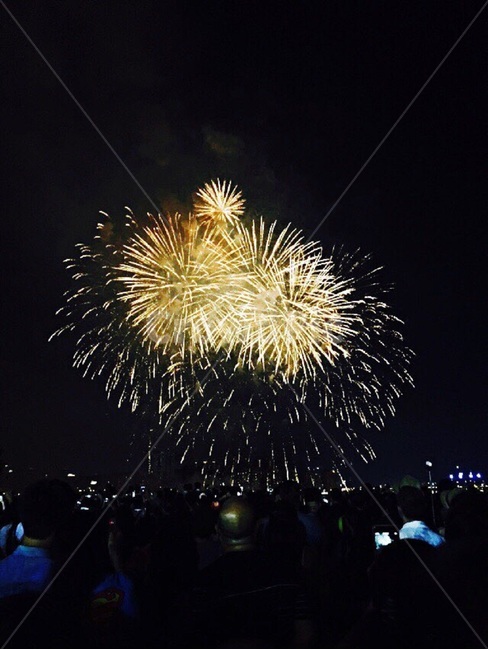 불꽃,불꽃놀이,firework,fireworks,야경,nightview,축하,celebration,기념일,축제,festival,화려한,fancy,야경,밤,풍경,nightscape,night,landscape,축제,행사,festival,carnival,event,nature,자연,outdoors,옥외