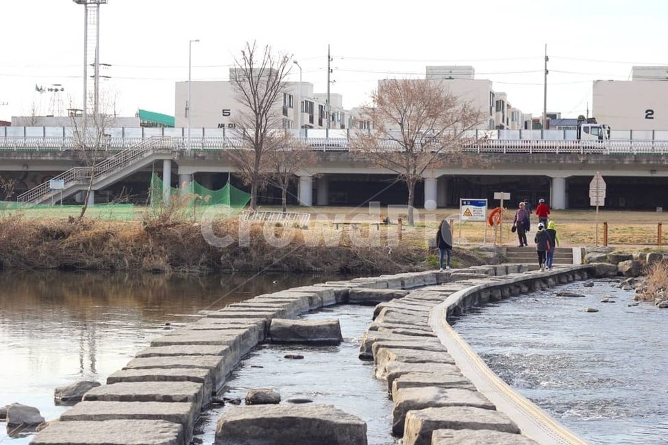 하천,유등천,대전,운동,조깅,river,stream,돌다리,bridge,stonebridge