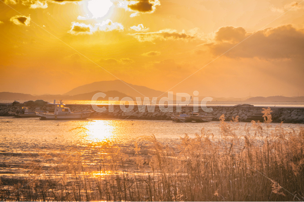 바다,일몰,갯벌,만,풍경,자연,하늘,구름,태양,해,햇빛,해안,바닷가,갈대,sea,sunset,sunfall,sunlight,bay,nature,landscape,sky,cloud,sun,항구,port,배,선박,boat,ship,자연,풍경,nature,landscape,한국자연풍경,한국자연경관,korea nature landscape,색깔,색상,색채,색감,color sense,color sensitivity,feeling of color,plant,식물,grass,잔디
