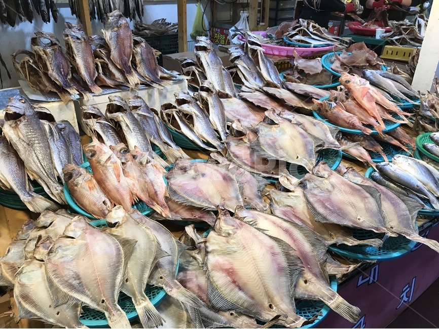생선가게, 건어물, 반건조생선, 생선, 속초, 사진,이미지,일러스트,캘리그라피 - 스크쏭작가