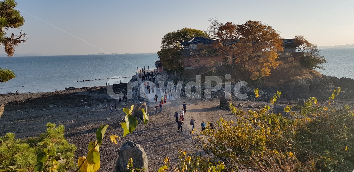 nature,자연,흙길,바닥,ground,바다,sea