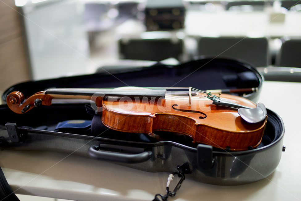 악기,바이올린,현악기,비올라,instrument,violin,string,케이스,음악,music,클래식,악기,음향기기,musical instrument,musical equipment
