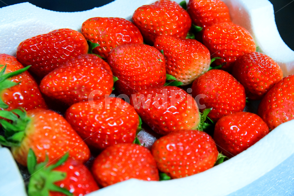 딸기,후식,음식,과일,식재료,열매,빨강색,dessert,fruits,strawberry,음식,식재료,요리,food,cook,meal,dishes,food reserves,과일,열매,fruit,채소,야채,vegetables