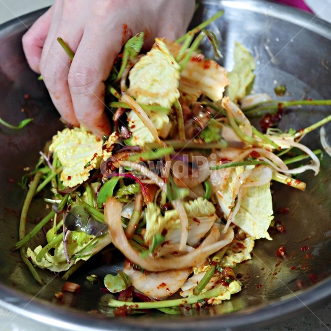 food,겉절이,김치,음식,장인,무침,kimchi