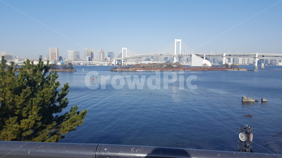 바다,오다이바,일본,도쿄,다리,도시