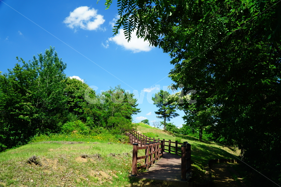 자연,하늘,구름,나무,풍경,nature,sky,cloud,tree,landscape,경치,scenery,scene,view,한국,서울,한국자연,korea,seoul,산책,6월,june,등산로,산책로