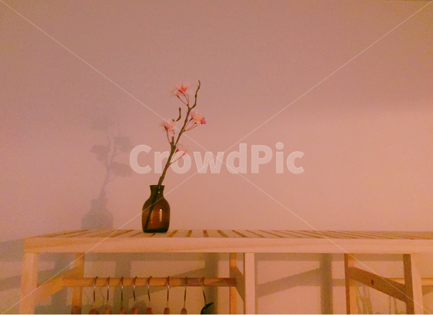 작은집,인테리어,리모델링,집꾸미기,오늘의집,공간,꽃,리사이클링,home,smallhouse,interior,remodeling