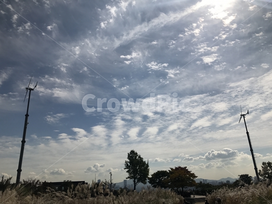 층계구름,구름,하늘,풍차,나무,자연,배경,풍경,갈대,갈대숲,산책,햇빛,Sky,Cloud,자연,풍경,nature,landscape,outdoors,옥외